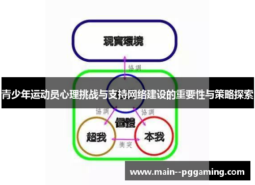 青少年运动员心理挑战与支持网络建设的重要性与策略探索